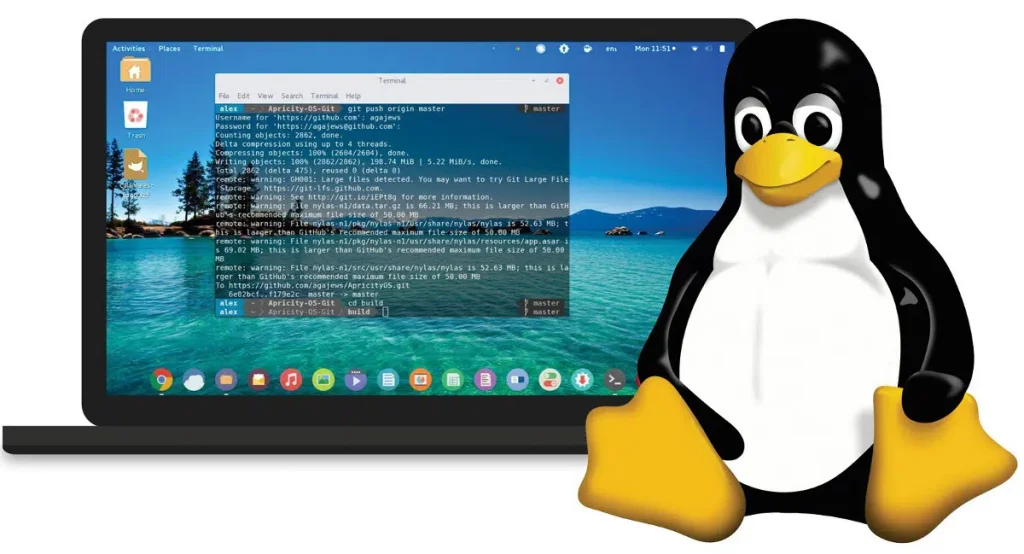 Linux Commands for Seamless Operations